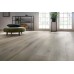 Виниловая плитка ПВХ Arbiton Amaron Superiore Greyland Oak CASS 202
