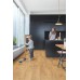 Вінілова плитка Quick step Autumn oak honey AVMP40088