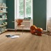 Виниловая плитка ПВХ Parador Classic 2030 Дуб вінтаж натур антік 1730637
