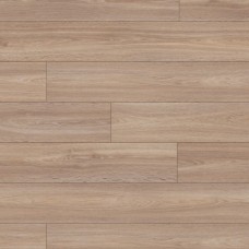 Дуб Альпійський