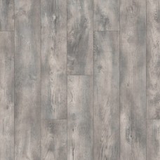 Дуб Бейрайк