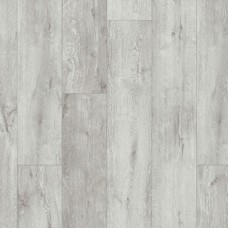 Дуб Вондерленд