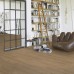 Вінілова плитка Parador Modular One Wide plank Oak atmosphere umbra 1744546