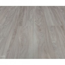 81306 Дуб Килль