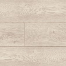 Дуб Трансільванія