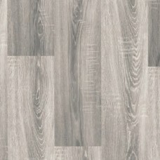 Дуб Гетьманський