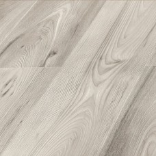 Вяз Касандра