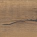 Oak Italica Nature 530335