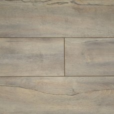 Дуб Амальфі