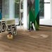 Ламінат Parador TrendTime 6 Дуб грубо пиляний 1371172