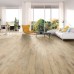 <Cell ss:StyleID="s33"><ss:Data ss:Type="String" xmlns="http://www.w3.org/TR/REC-html40"><Font html:Color="#000000">Дуб Мисливський</Font> <Cell ss:StyleID="s34"><ss:Data ss:Type="String" xmlns="http:/