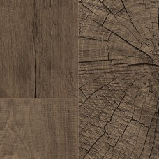 Ламінат kaindl Classic Touch Premium Plank Горіх FRESCO ROOT