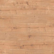 Дуб Нова Англія