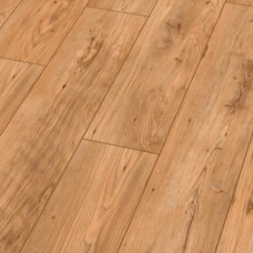 Каштан Природний