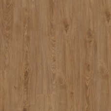 Дуб Бильбао