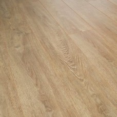 Дуб Манхеттен