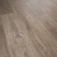 Дуб Бруклін