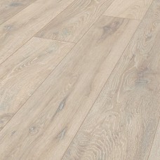 Дуб Колорадо