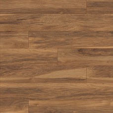 Гікорі Аппалачіа