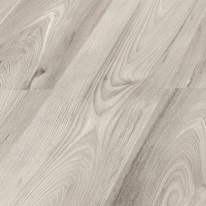 Вяз Касандра