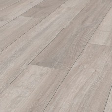 Дуб Рокфорд