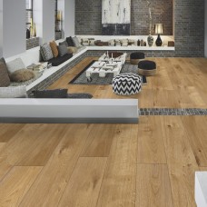 Букінгемський дуб