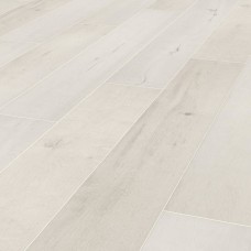 Дуб Лайливайт