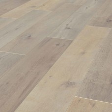 Дуб Бандито