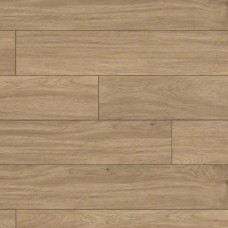 Дуб Кріденза