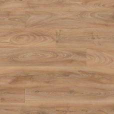 Дуб Історичний