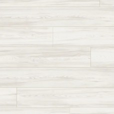 Модрина Веджін Сканді