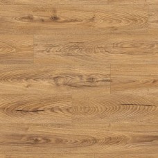 Дуб Інка Капенче