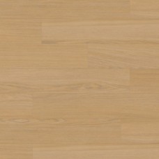 Дуб Лінен Шеріден