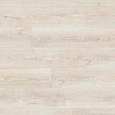 Дуб Місті Стерлінг