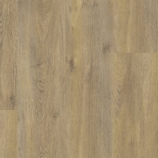 Ламінат kronotex Exquisit Plus Дуб Ельба натуральний