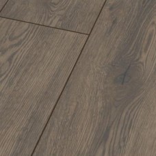 Віковий Дуб