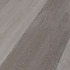 Дуб північний