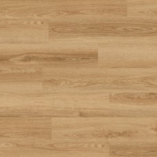 Дуб Кеш'ю Монтре